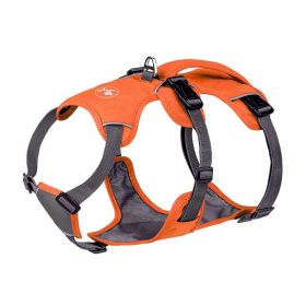 Pet Harness Dog Hand Holding Rope (Option: orange-M)